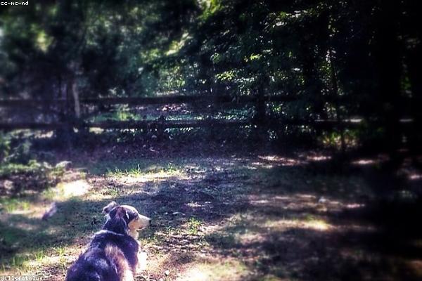 Understanding Your 401k Fees