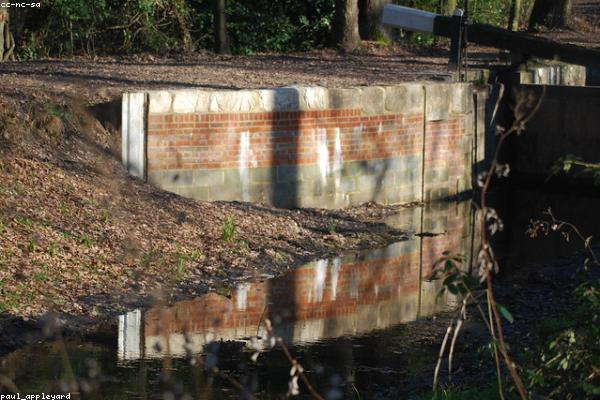 Avoiding Common Scams and Fraud